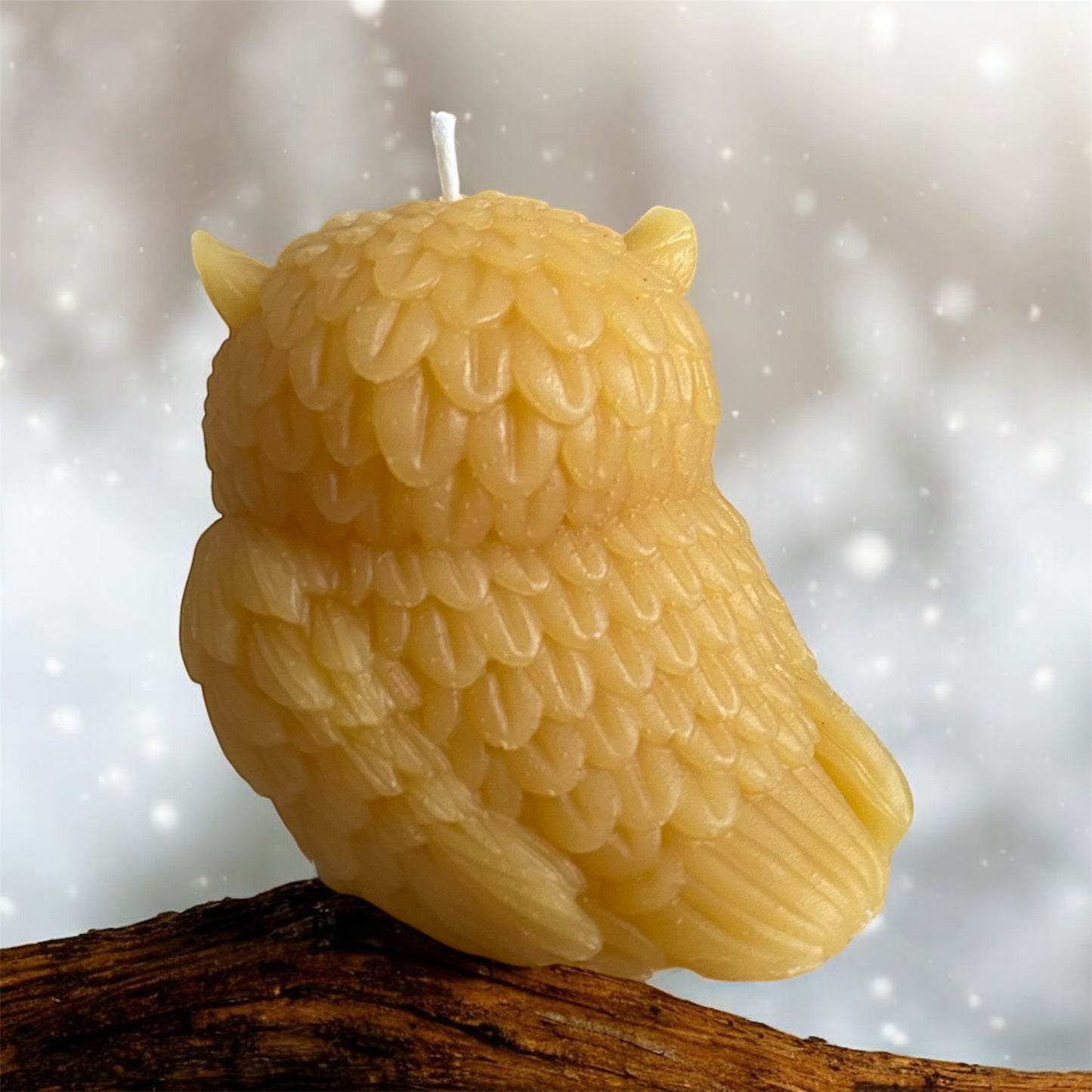 Beeswax Owl