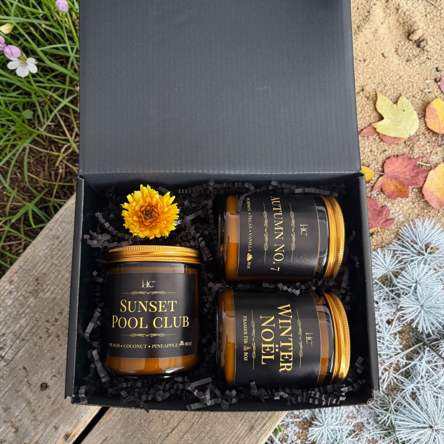 Season Sampler Pack