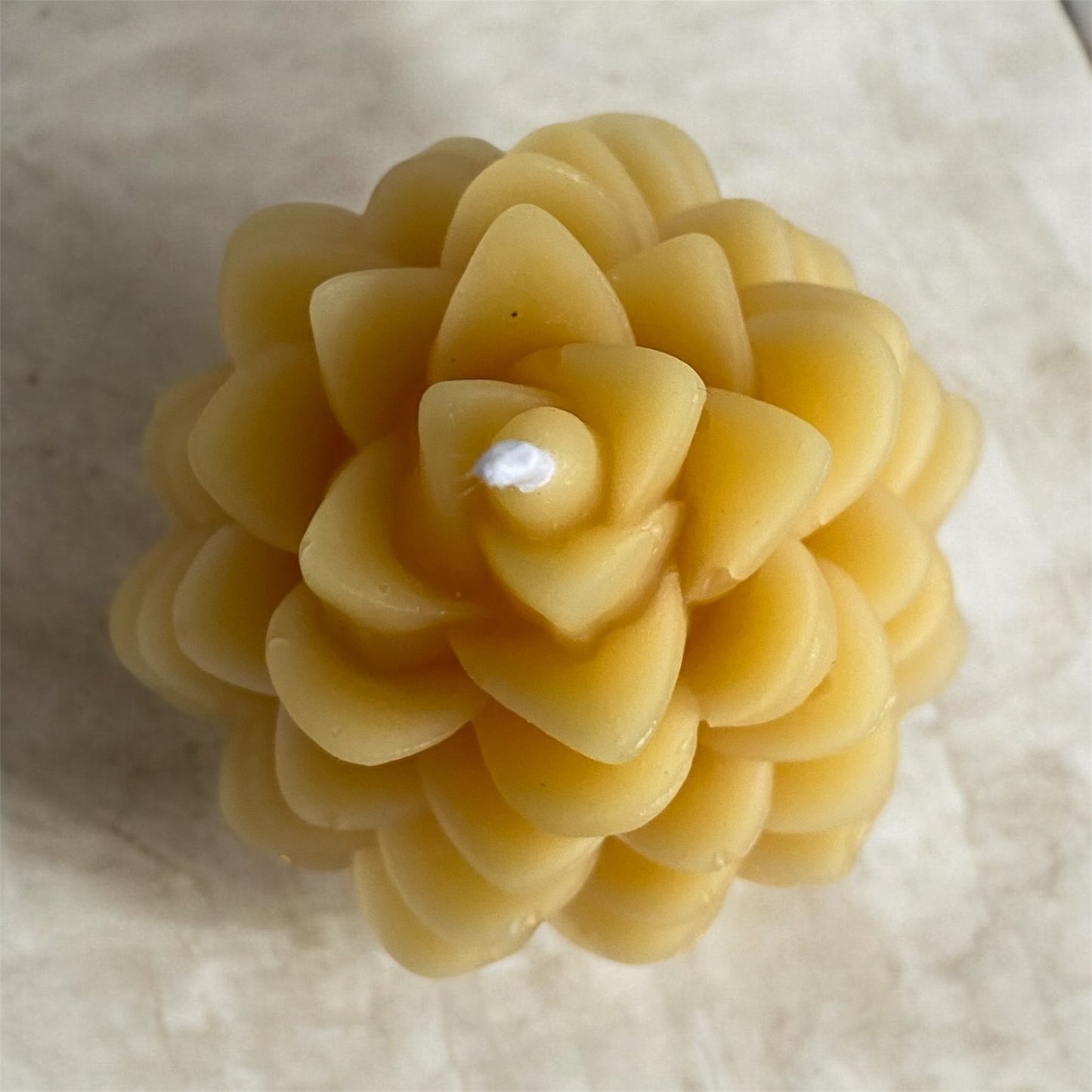 Beeswax Pinecone
